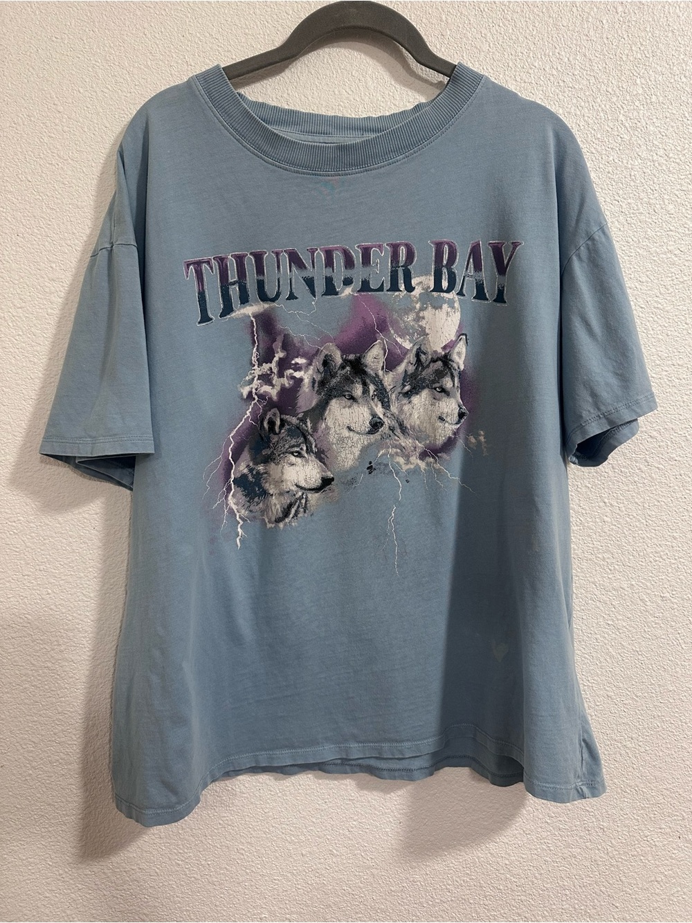 Cotton On Thunder Bay Wolf Graphic Tee - Light Blue